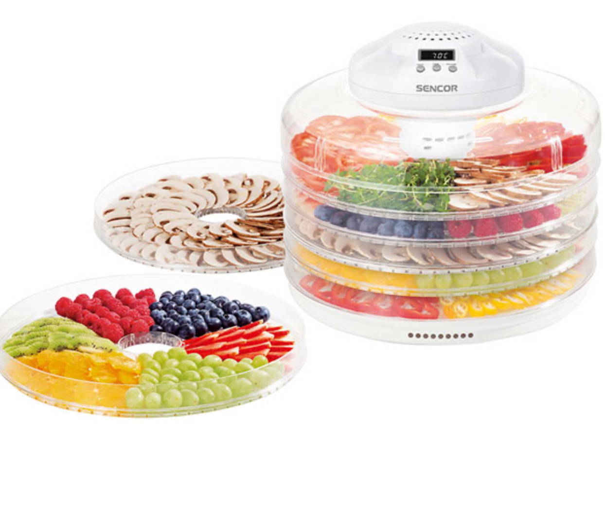 میوه و سبزی خشک کن سنکور SFD 4235